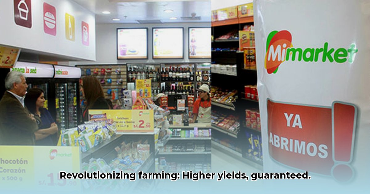 mimarket